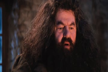 Harry Potter 1 and the Sorcerers Stone 2001 thumb